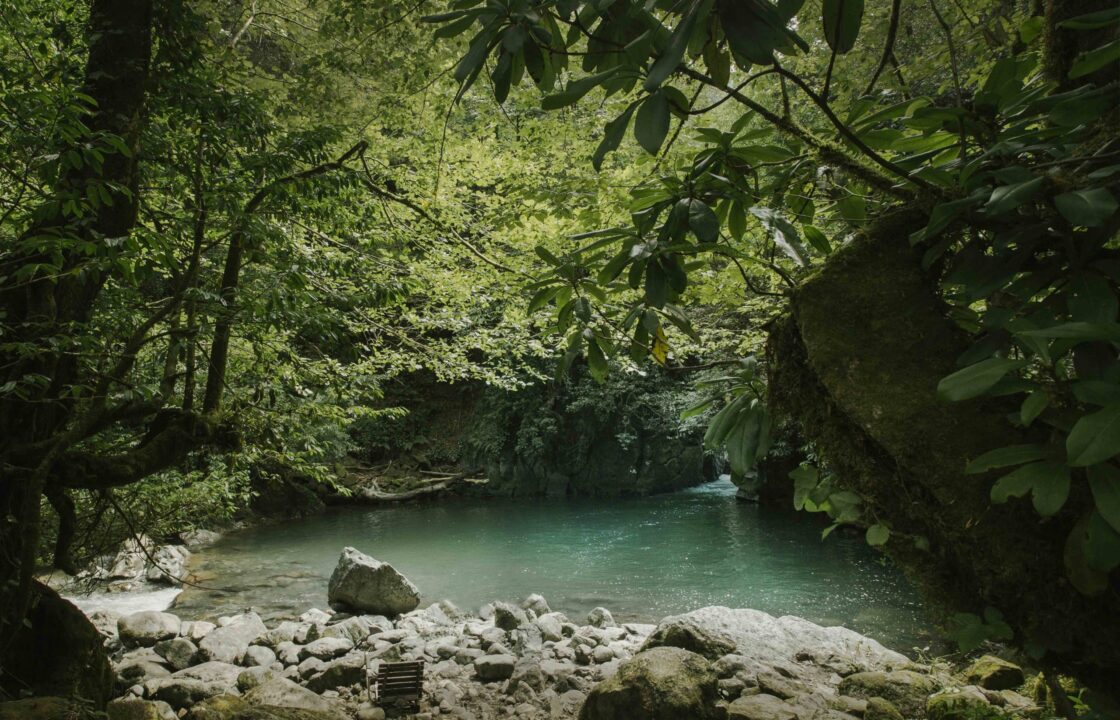 mtirala national park