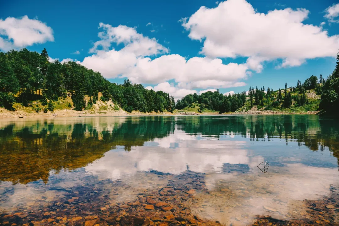 lakes in georgia