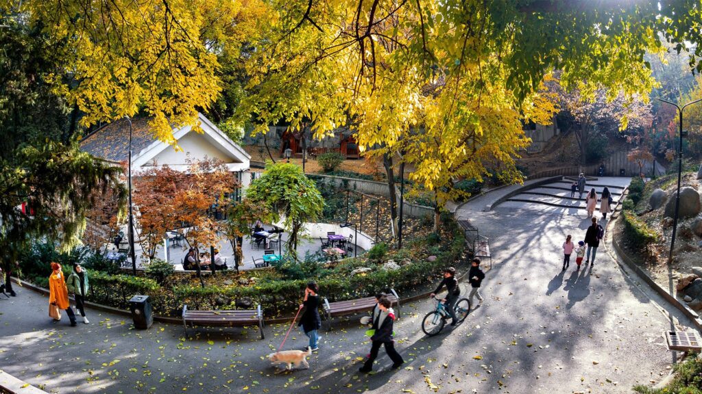 Cozy Cafes in Tbilisi 2024