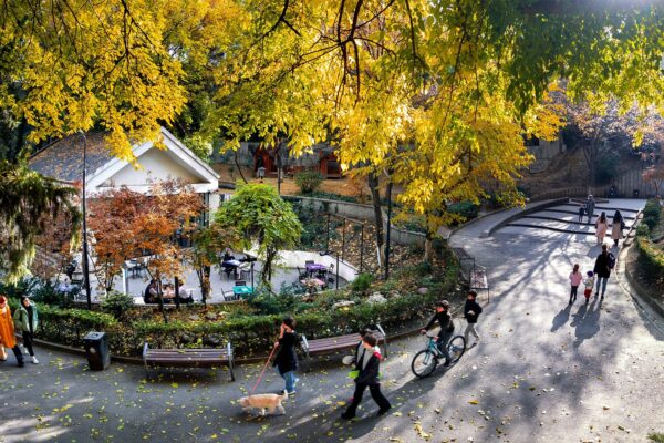 Cozy Cafes in Tbilisi 2024