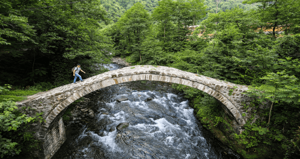 Kintrishi National Park