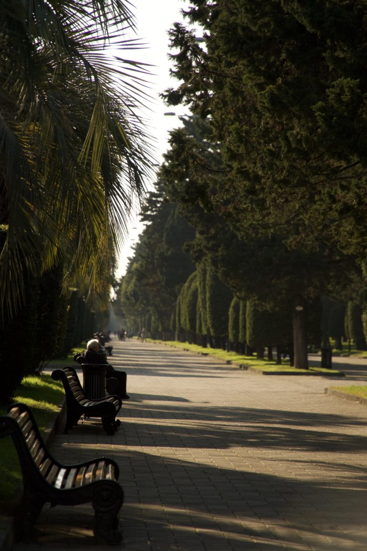 Old Boulevard (1)