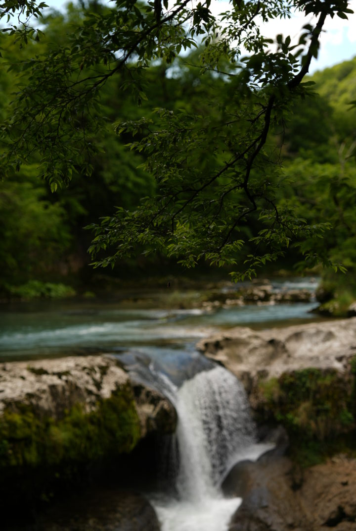 Journey into Georgia's Emerald Jewel: The Enchanting Martvili Canyon
